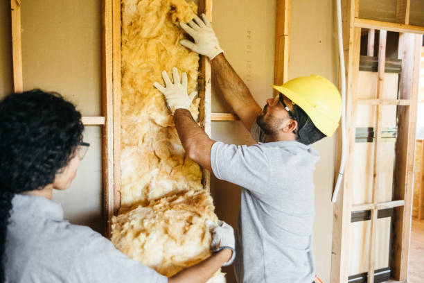 Best Insulation for New Construction  in Ddanelle, AR