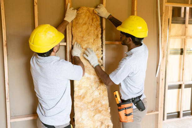 Best Soundproof Insulation  in Ddanelle, AR